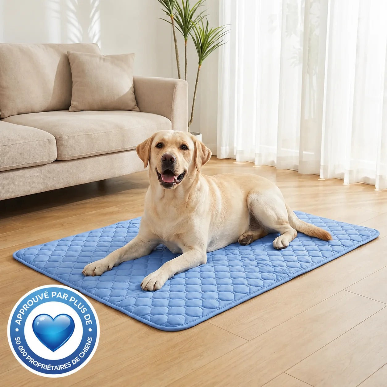 Kovapet® – Le Tapis de Refroidissement