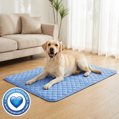 Kovapet® – Le Tapis de Refroidissement