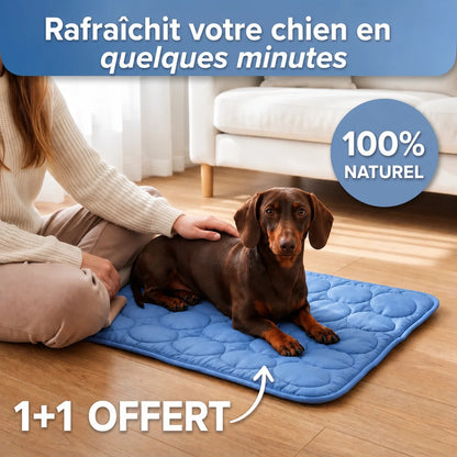 Kovapet® – Le Tapis de Refroidissement