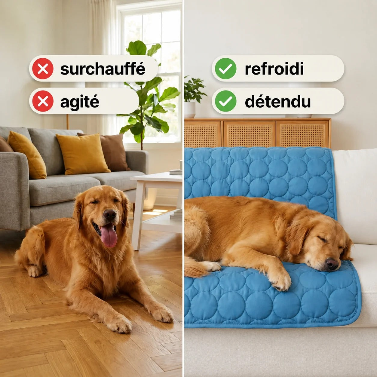 Kovapet® – Le Tapis de Refroidissement