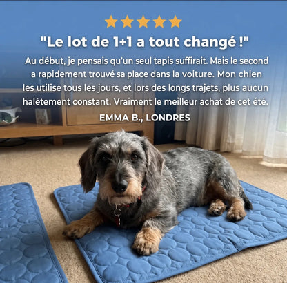 Kovapet® – Le Tapis de Refroidissement