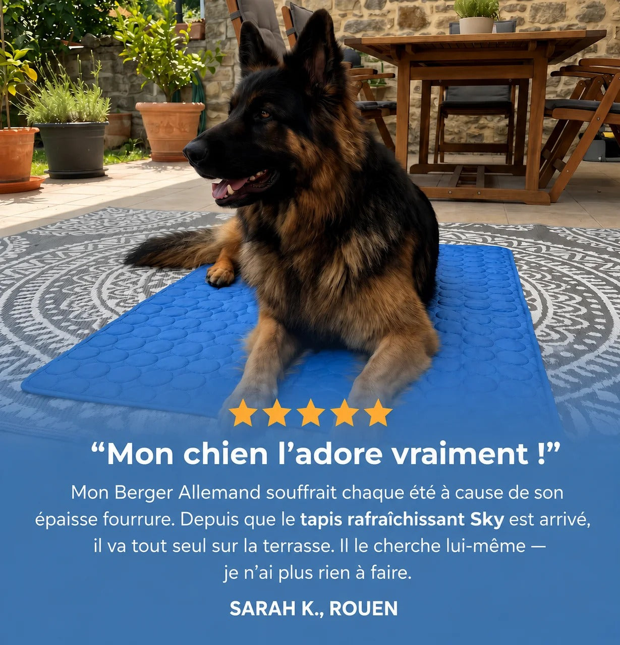 Kovapet® – Le Tapis de Refroidissement
